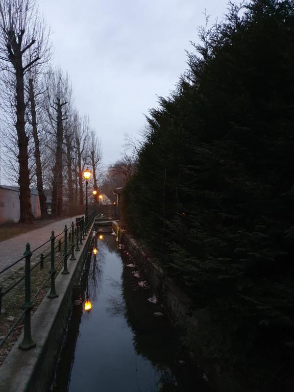 Apartamenty Magiczna Wenecja - 10