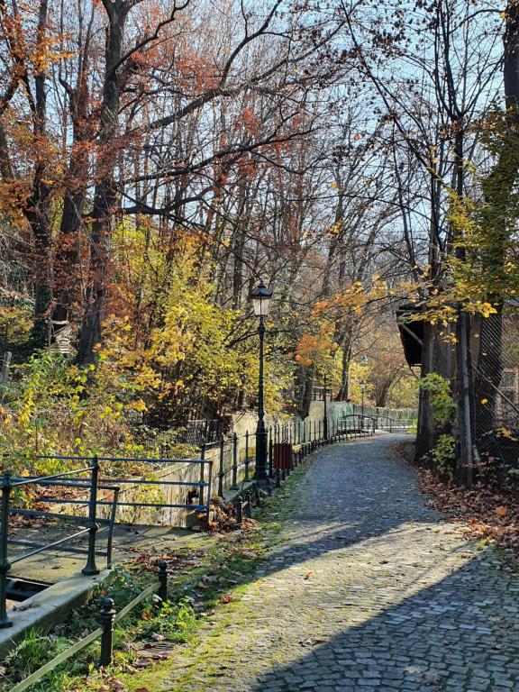 Apartamenty Magiczna Wenecja - 11