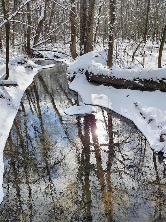 Apartamenty Magiczna Wenecja - 17