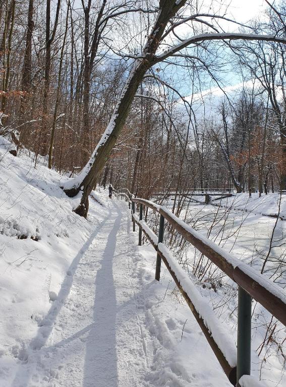 Apartamenty Magiczna Wenecja - 15