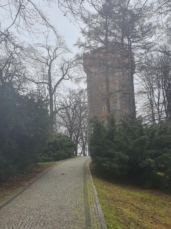 Apartamenty Magiczna Wenecja - 13