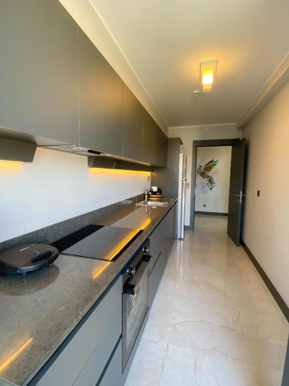 Kuchyň nebo kuchyňský kout v ubytování Luxury Central Fully Equipped 3BR 2BA Apartment by Siena Suites