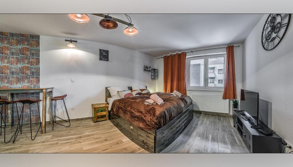 Televízia a/alebo spoločenská miestnosť v ubytovaní Duna Aréna Boutique Apartment