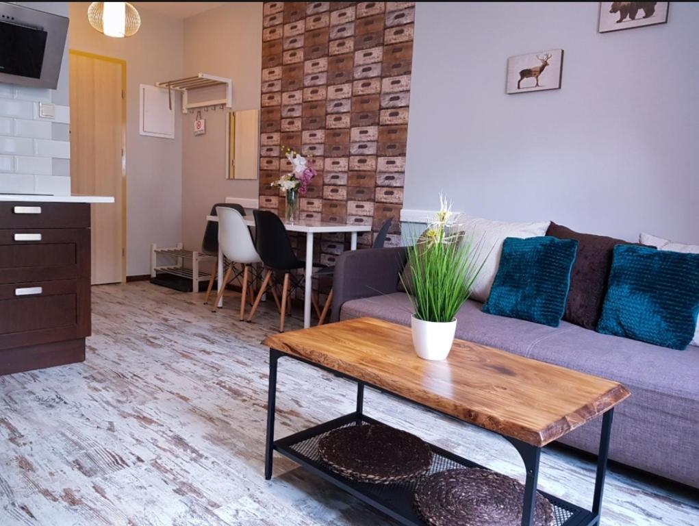 een woonkamer met een bank en een tafel bij Apartament Evita in Karpacz