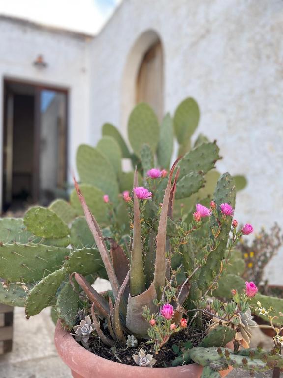 Zdjęcie z galerii obiektu Casa Trieste w Alberobello