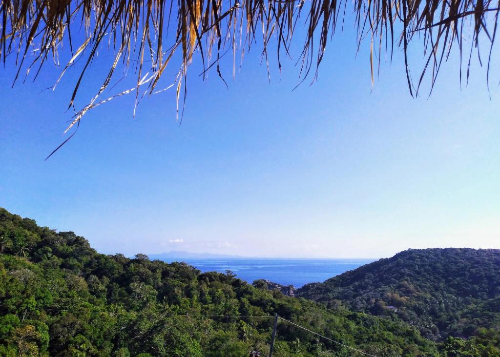 Tree House Bungalows Koh Tao - 7
