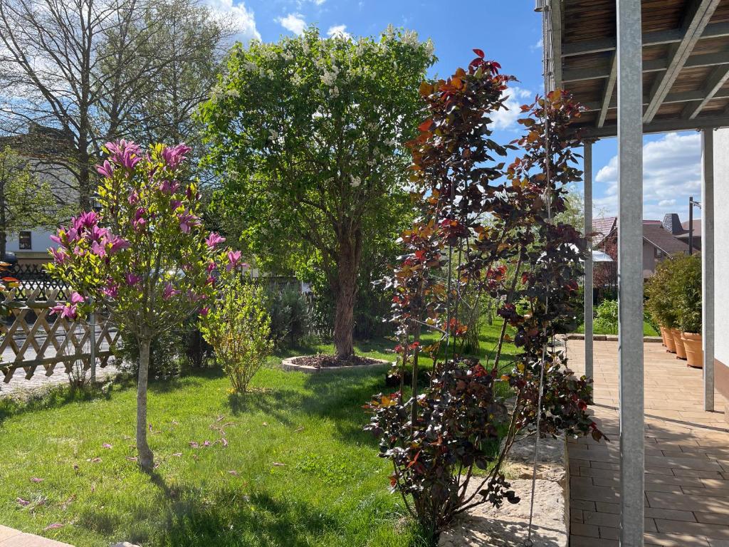 Zahrada ubytování Villa Florentine