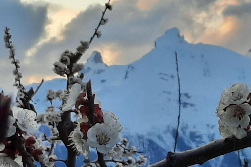 Grand appartement 6 personnes, surf, ski et randonnées - Resim 44