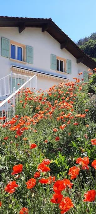 Grand appartement 6 personnes, surf, ski et randonnées - Resim 30