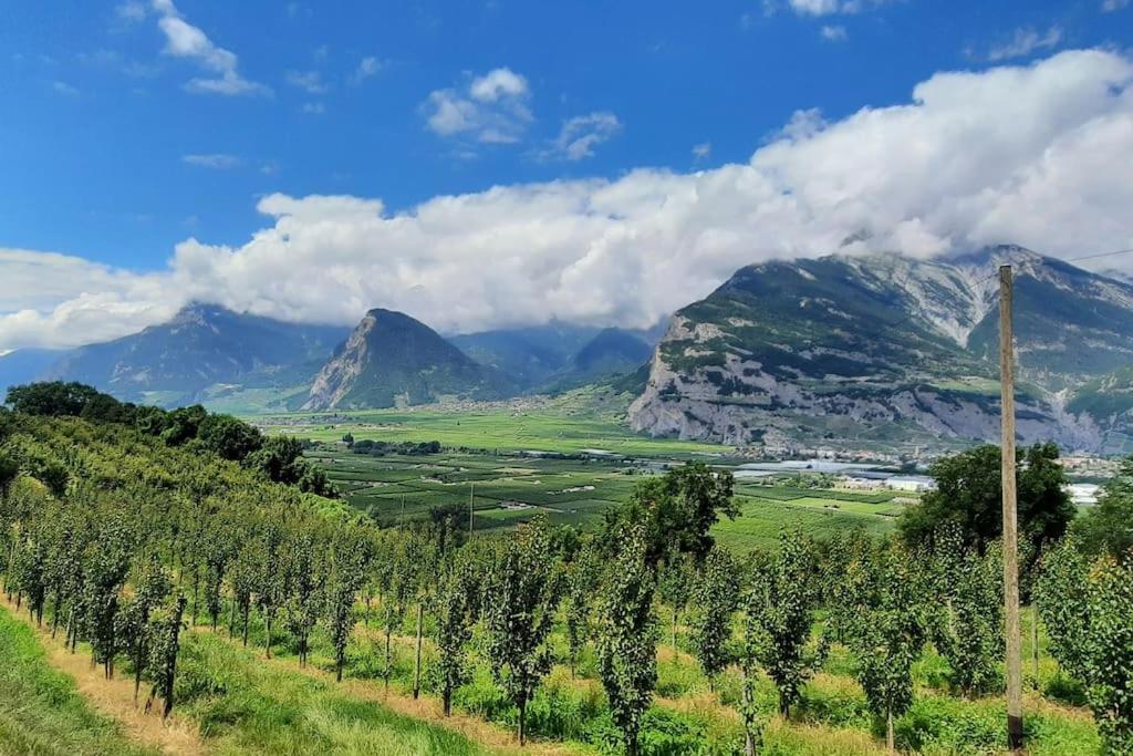 Grand appartement 6 personnes, surf, ski et randonnées - Resim 40