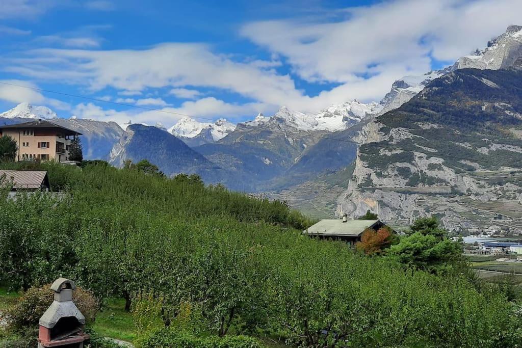 Grand appartement 6 personnes, surf, ski et randonnées - Resim 16