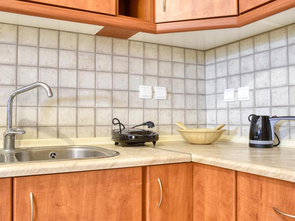 Kuchyň nebo kuchyňský kout v ubytování Tagkas Apartments