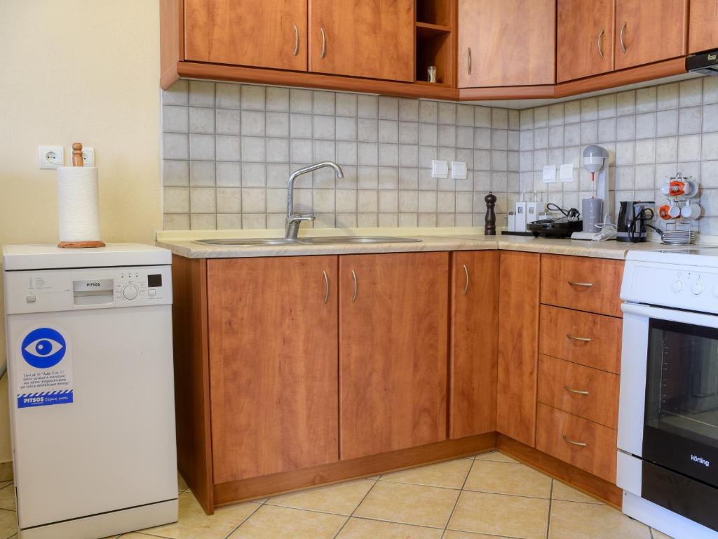 Kuchyň nebo kuchyňský kout v ubytování Tagkas Apartments