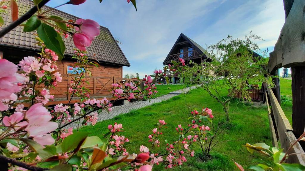 ミウォムウィンにあるCichosza Miłomłynのピンクの花が咲く庭園