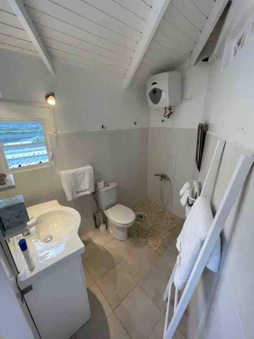 Koupelna v ubytování Petit coin de paradis à 5 min Baie Orientale, Idolem résidence unité 7bis - 57 Rue du Mont Vernon 1