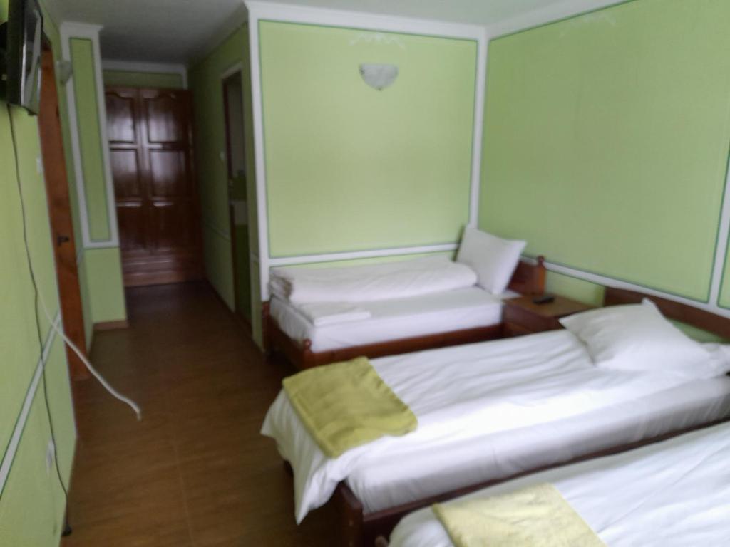 Postel nebo postele na pokoji v ubytování Къща Ради