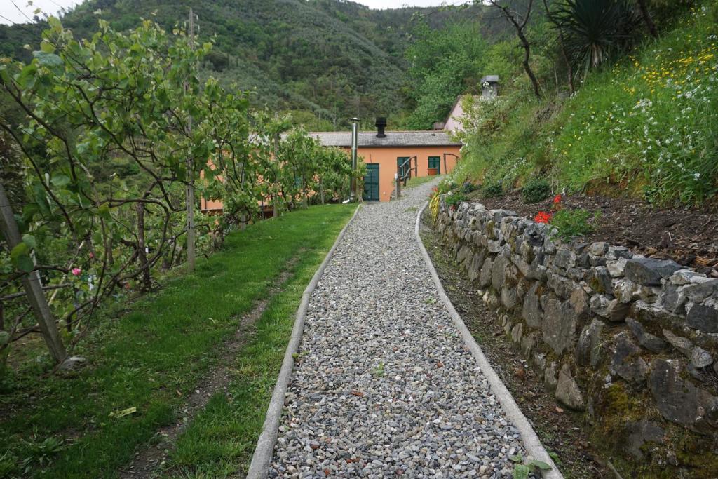 un camino de piedra delante de una casa con una pared en Agriturismo U muinettu, en La Spezia