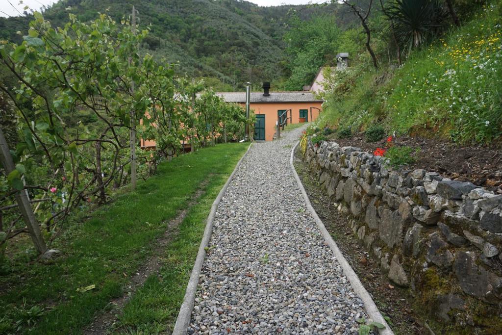 a stone path in front of a house with a wall at Agriturismo U muinettu in La Spezia