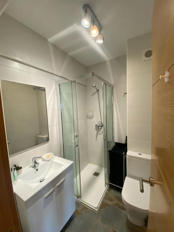 y baño con aseo, lavabo y ducha. en Mundaka best views house, en Mundaka