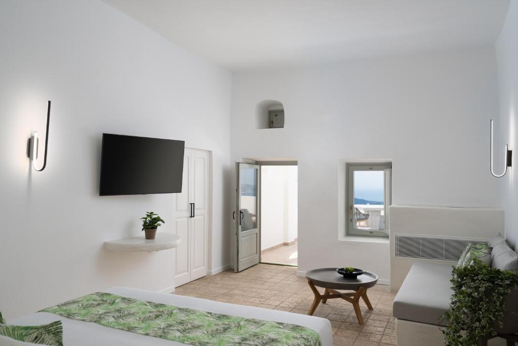 TV a/nebo společenská místnost v ubytování Asha Luxury Suites