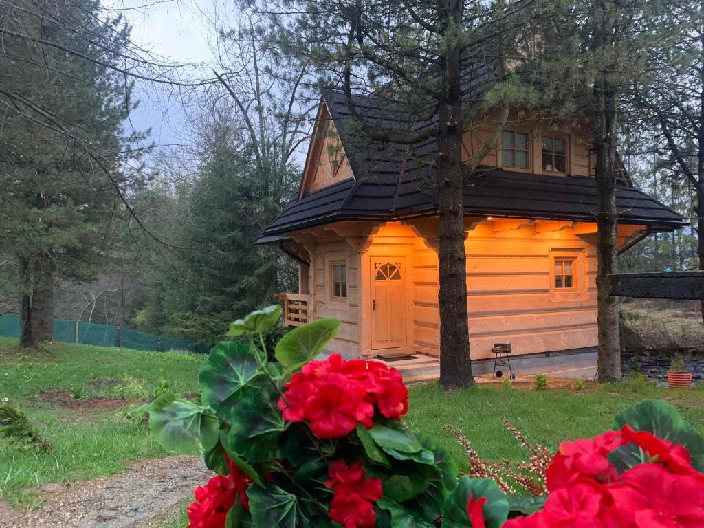 uma pequena casa com flores vermelhas em frente em Tatra Wolf House em Kościelisko