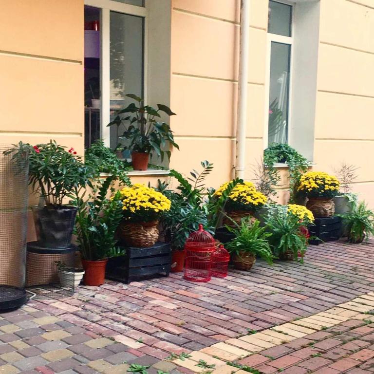 Zahrada ubytování Andreevskiy mini-hotel