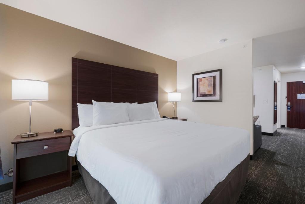 Cobblestone Hotel & Suites - Urbana - King Studio