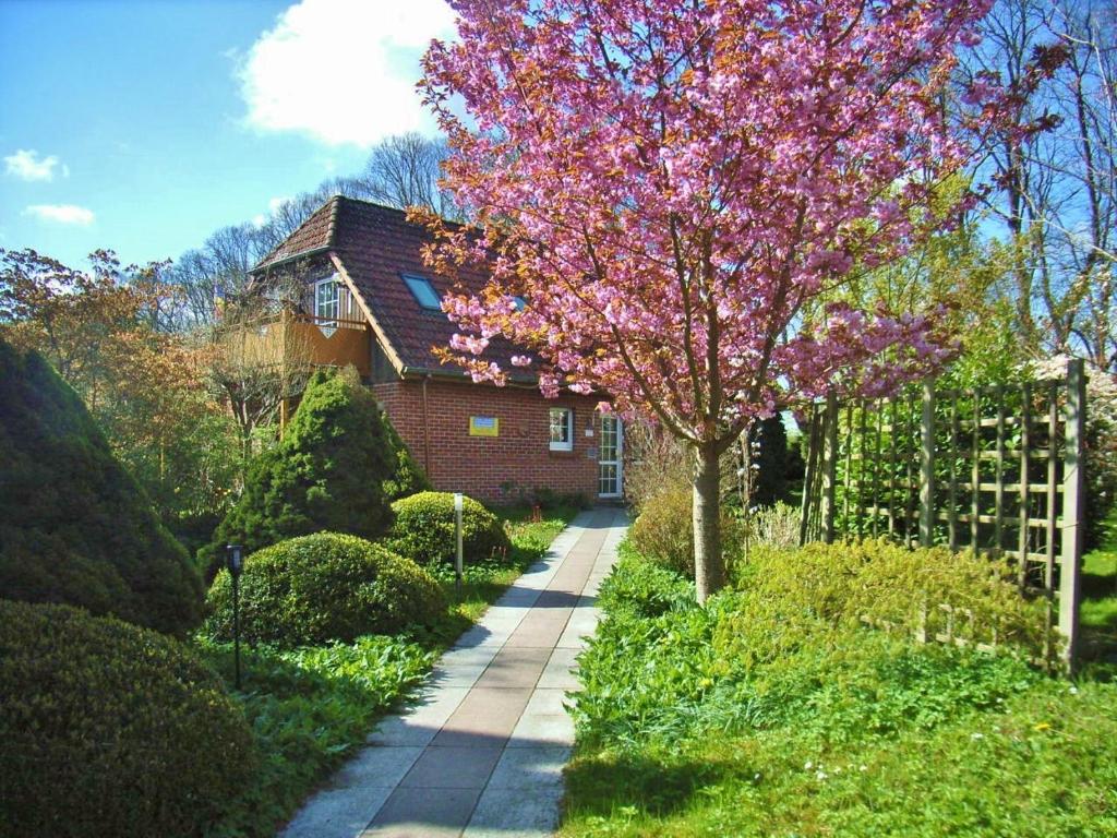 a tree with pink flowers in front of a house at Ostsee Hotel-Pension An der Lindenallee in Bad Doberan