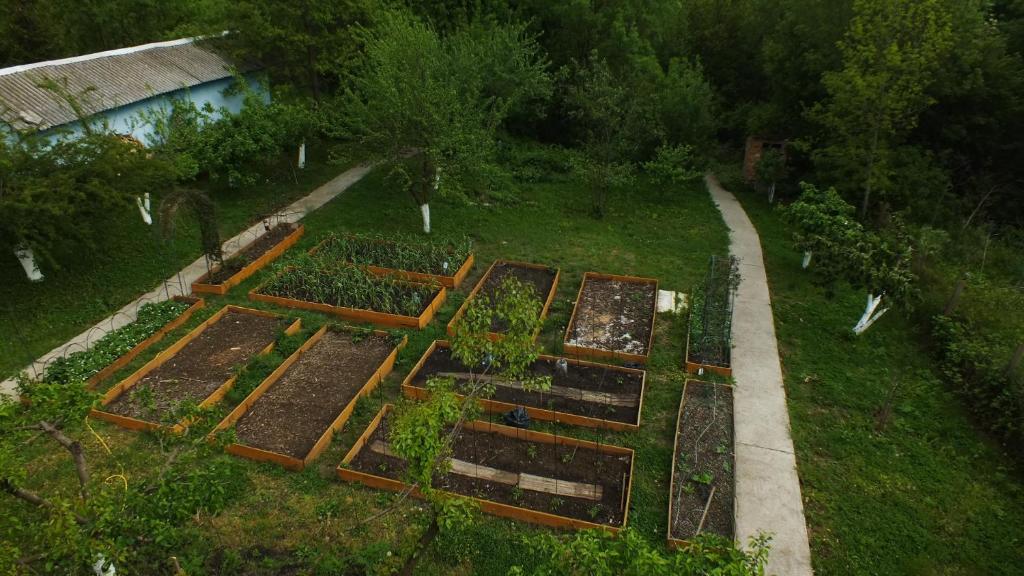 A garden outside LussVelika: The heart of the Black Sea.