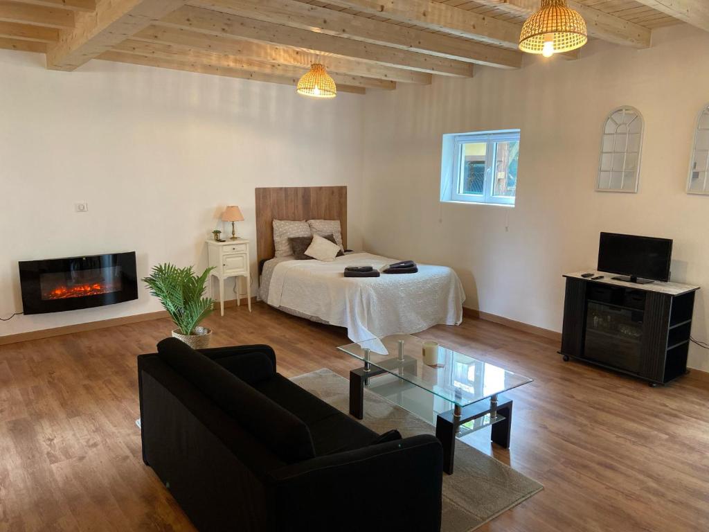 een grote woonkamer met een bed en een televisie bij Le Chêne: Petit Chalet cosy proche de Mulhouse in Riedisheim