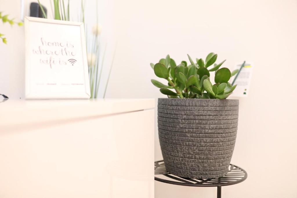 Apartment and room Mare - 15