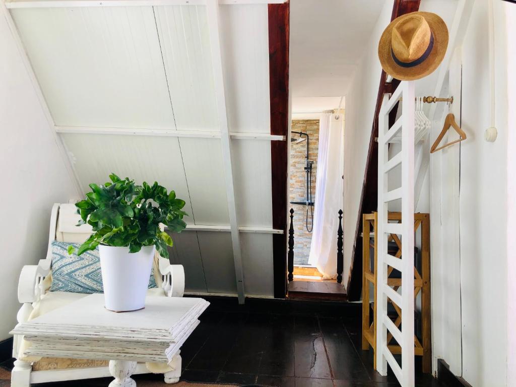a room with a staircase and a potted plant on a bench at Captivating Studio Apartment in Mexilhoeira Grande in Mexilhoeira Grande