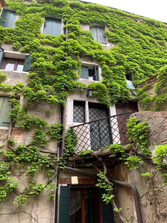 an ivy covered building with a door and windows at Familly rooms (two rooms) Cà del Traghetto in Venice