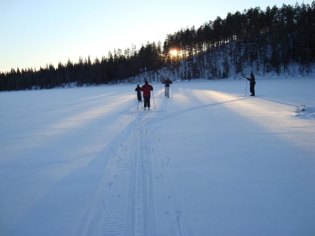 Tyngsjö Vildmark v zimě