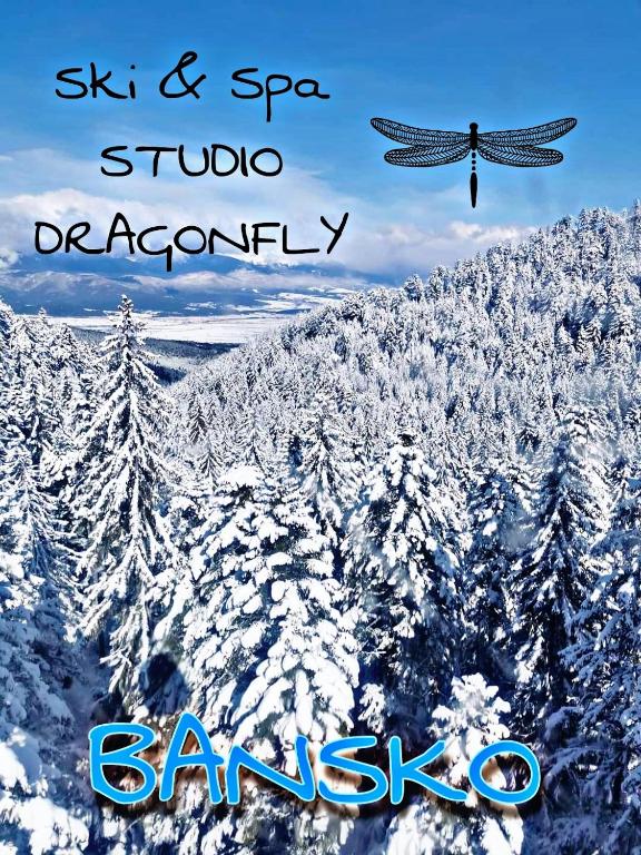 Ski & Spa Dragonfly Studio Bansko during the winter