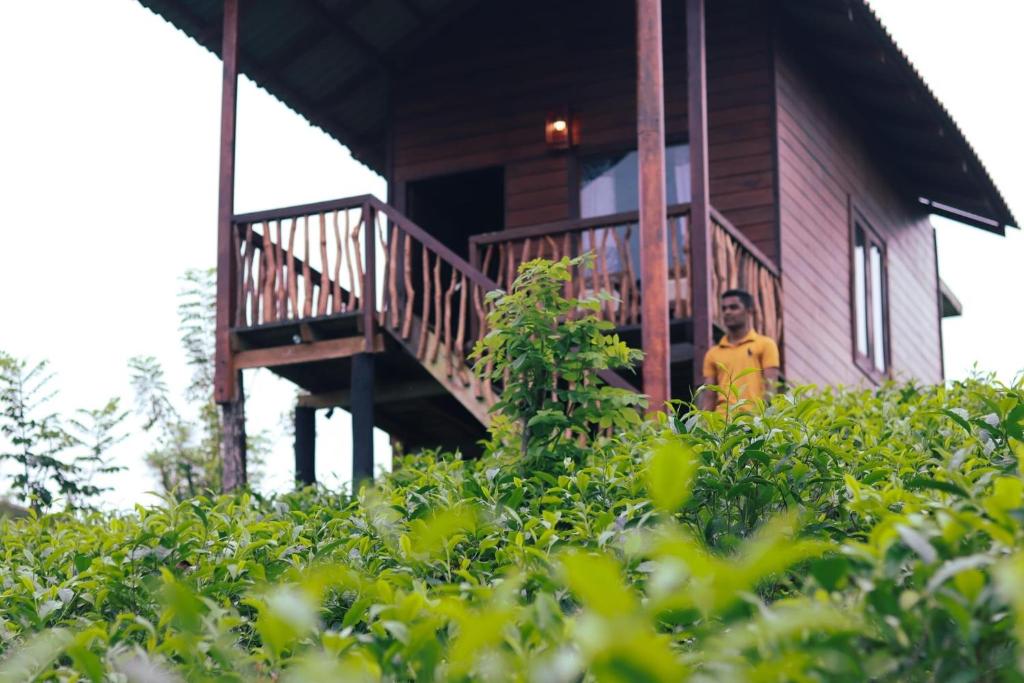 a man standing in front of a wooden house at Misty Mountain- Sinharaja in Deniyaya