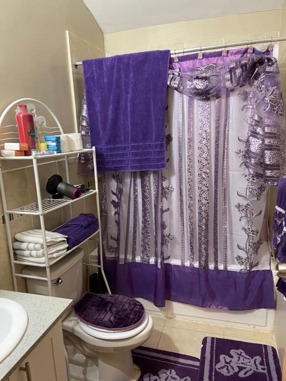 Cheerful Twobedroom 1bath, WIFI, air conditioning., Montego Bay