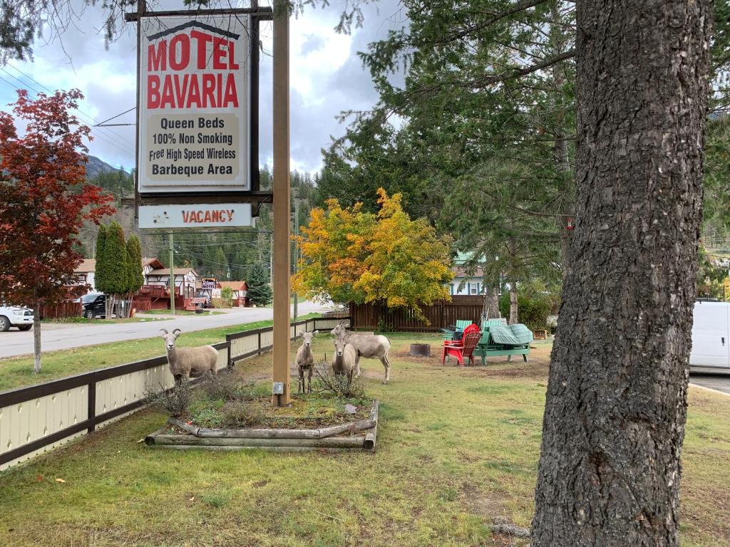 レイディアム・ホット・スプリングスにあるMotel Bavariaの鹿三頭の木の横に立つ看板