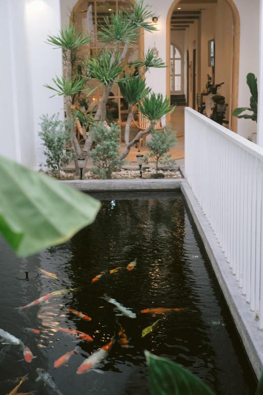 Fotografie z fotogalerie ubytování LaDa's House Da Nang v destinaci Danang