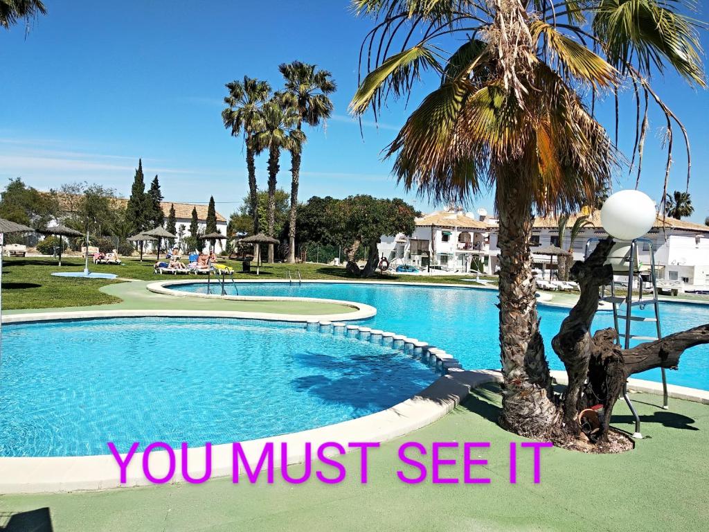 a pool with a palm tree and the words you must see it at Appartement Lago Jardin in Torrevieja