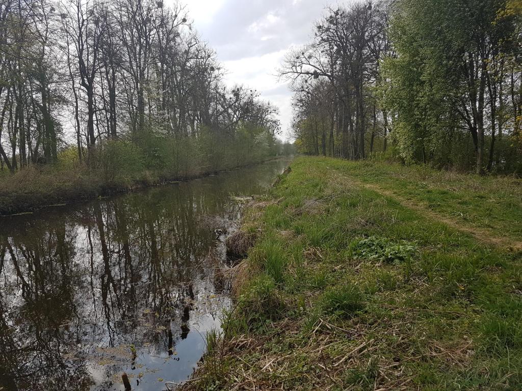 Fotografia z galérie ubytovania Domek letniskowy na Mazurach v destinácii Miłomłyn