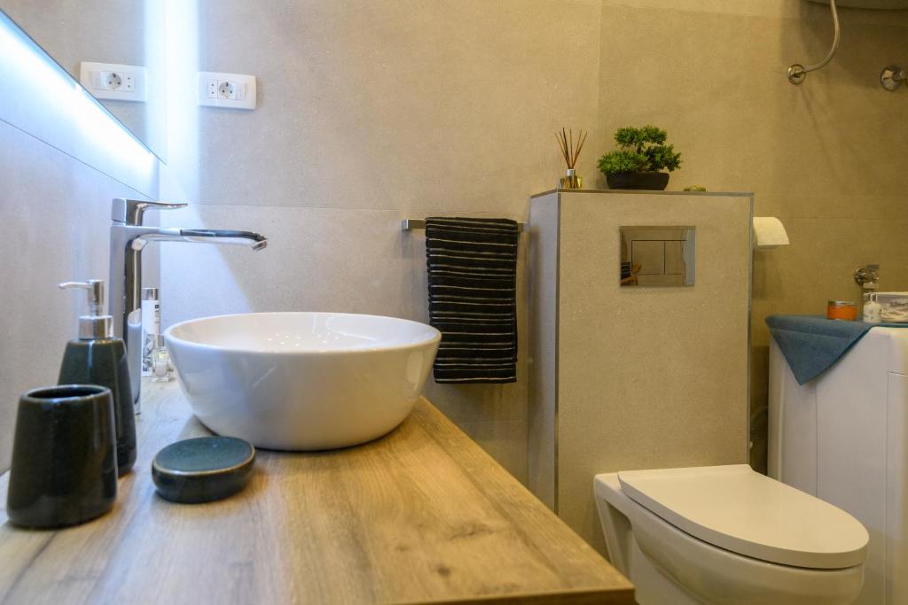 Koupelna v ubytování Apartments Rašica