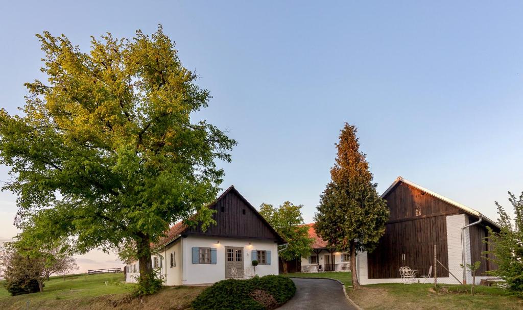 ein Haus mit einer Scheune und einer Auffahrt in der Unterkunft Domačija Pri Momi in Križevci