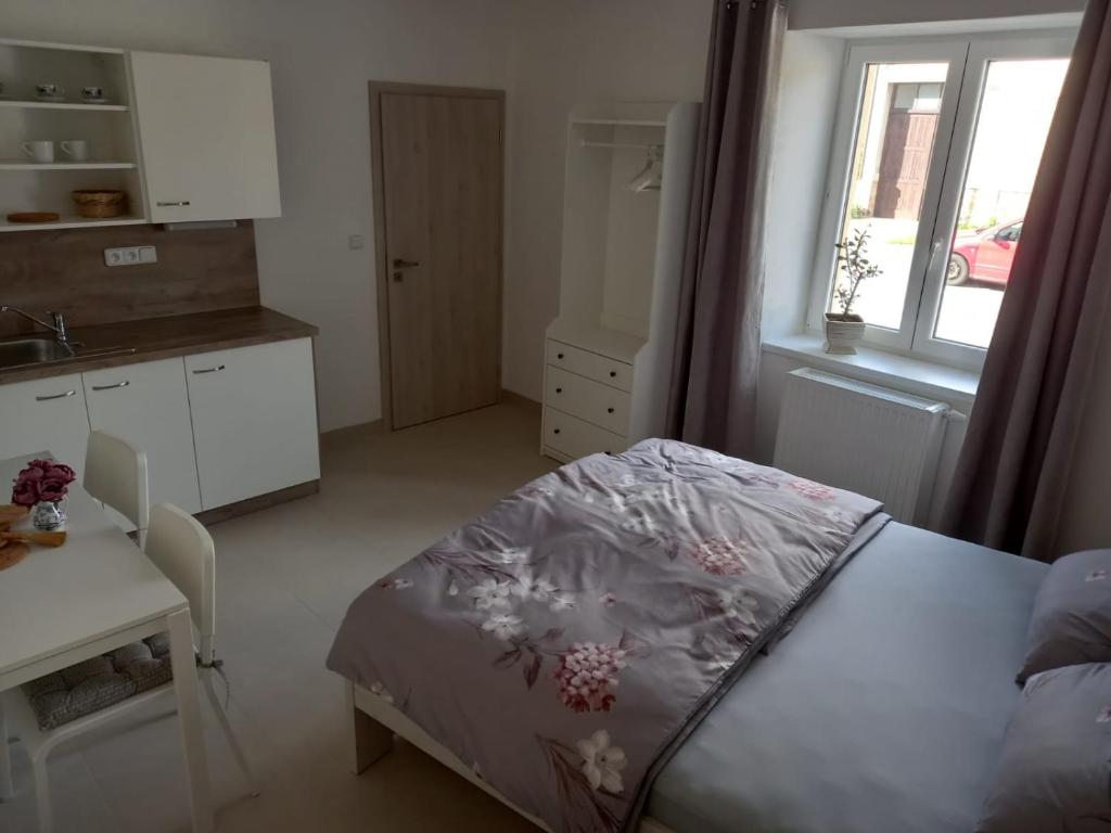 1 dormitorio con cama, mesa y ventana en Penzion U strejčků, en Veselí nad Lužnicí