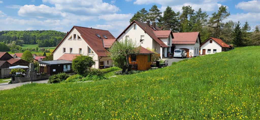 una fila de casas en una colina con césped verde en Pension am Wald, en Gössweinstein