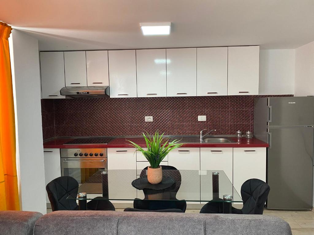 DUPLEX TIRANA CLOSE TO CITY CENTER - Imazhi 7