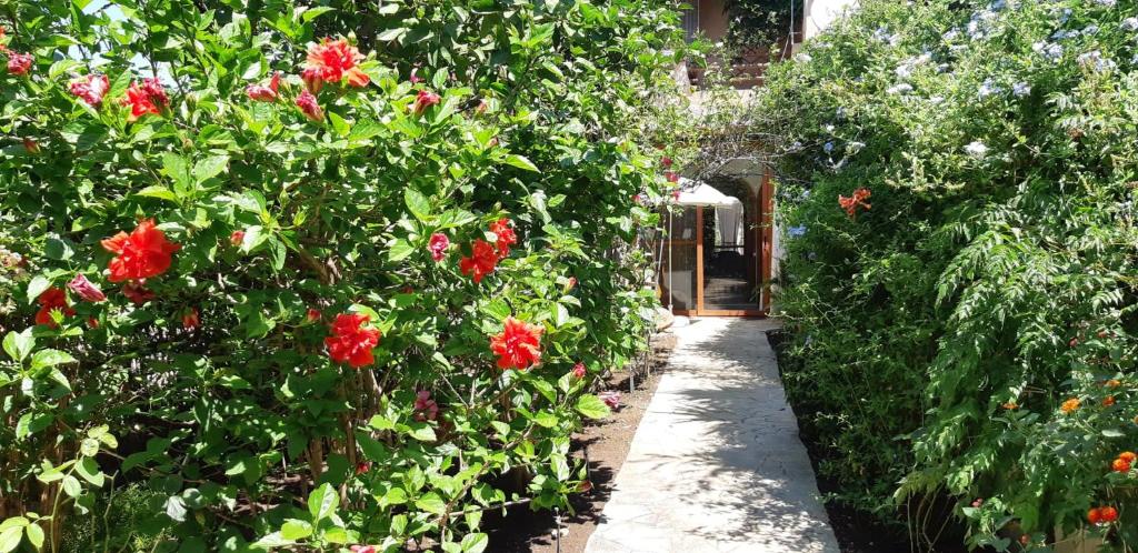 a pathway through a garden with red flowers at Villetta 150mt dalla Spiaggia Flumini di Quartu in Flumini di Quartu