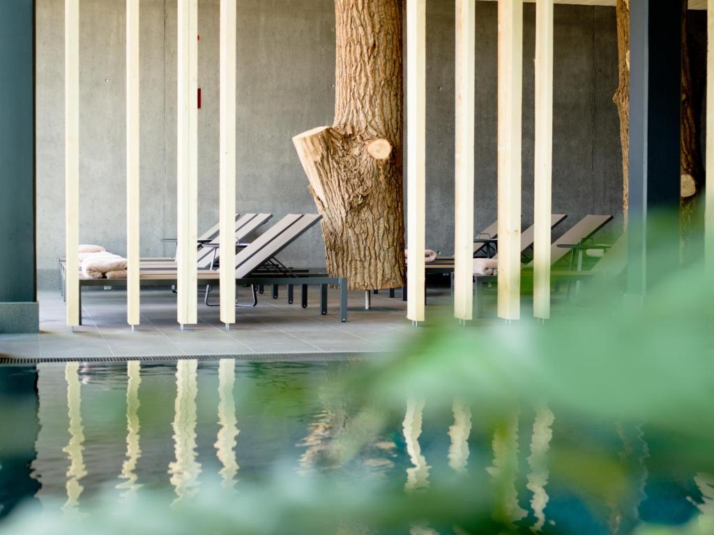 Fotografie z fotogalerie ubytování Naturhotel & Chalets Euler v destinaci Neuschönau