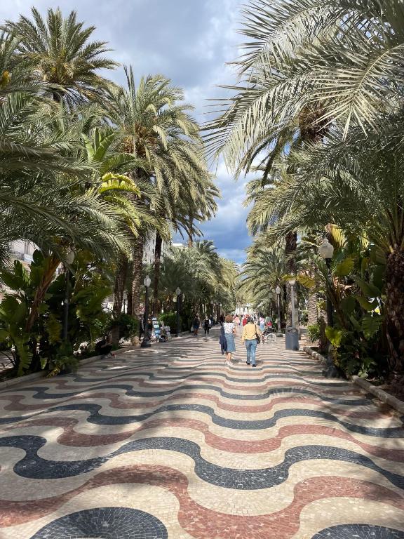 Booking.com: Apartamento BelApart Centro Historico Alicante ...