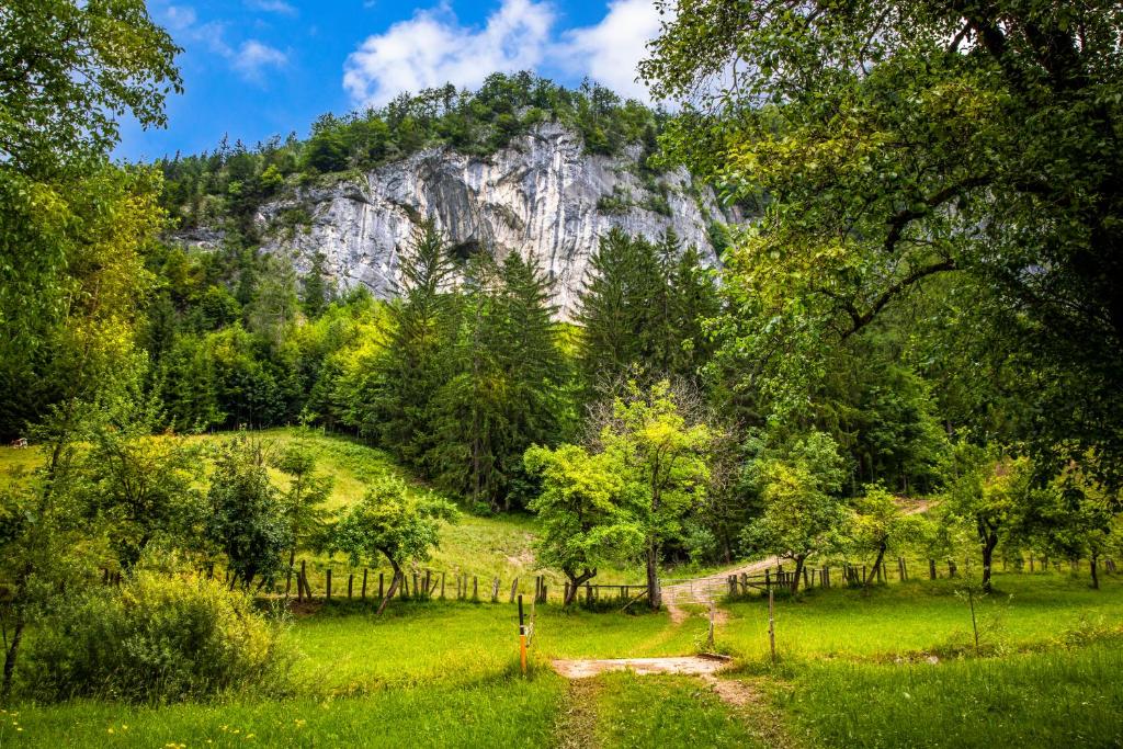 Paesaggio naturale nelle vicinanze del bed & breakfast